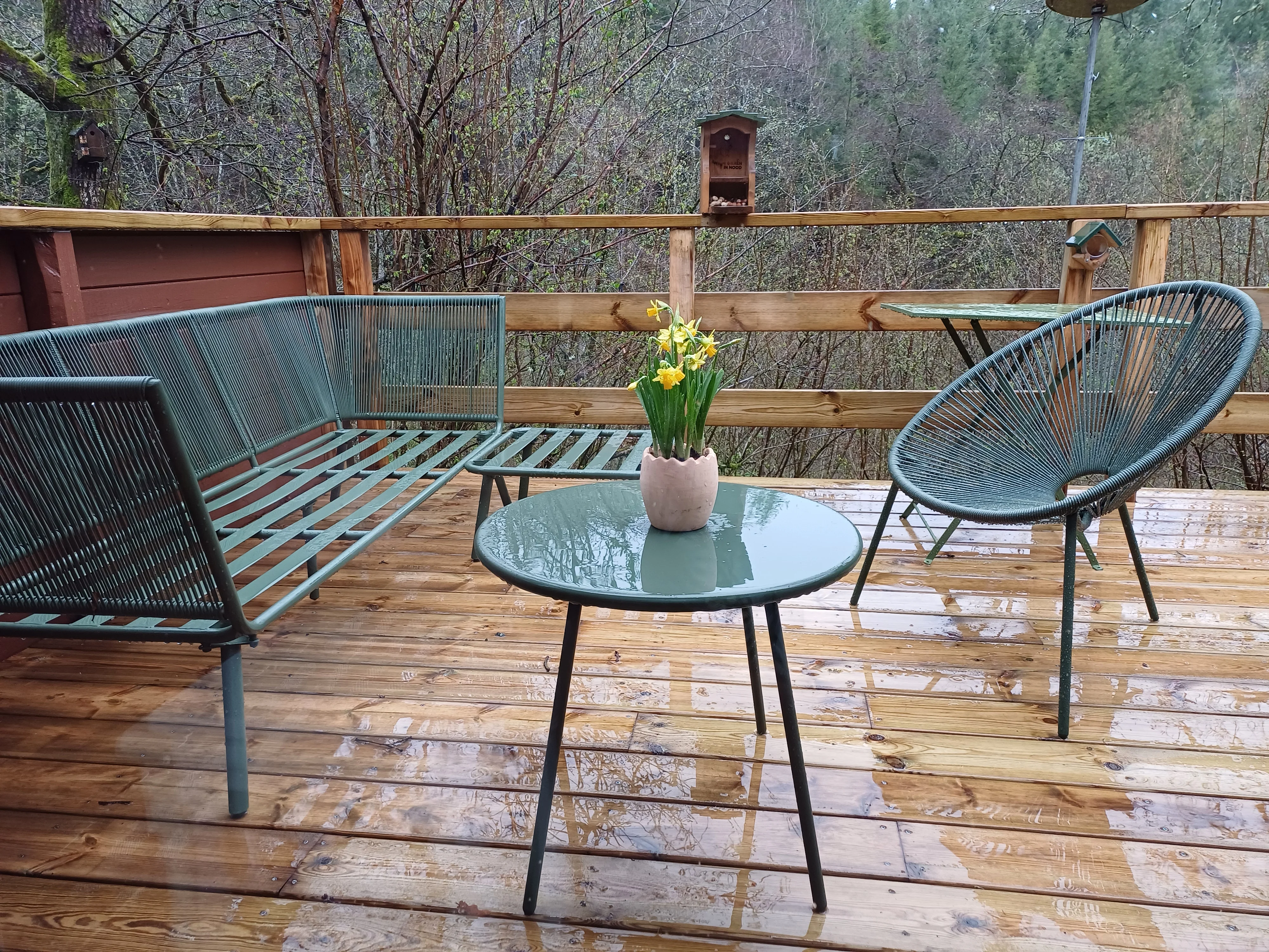 Terras